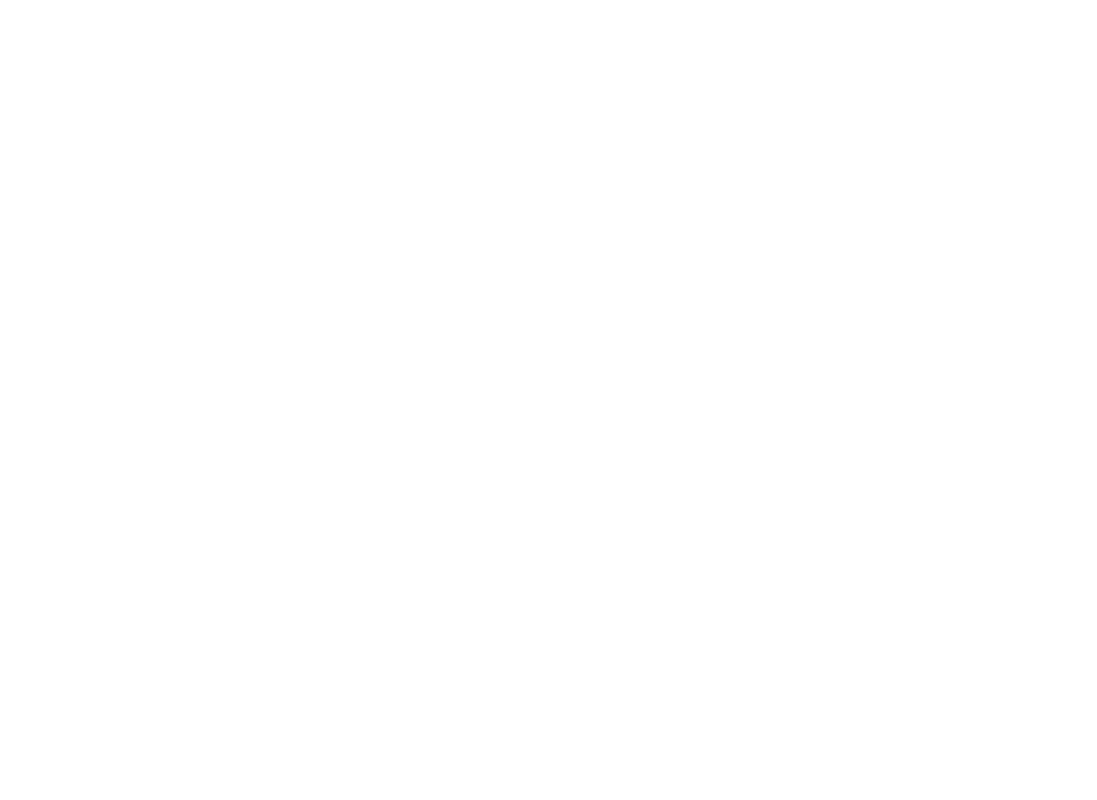 Spa Company