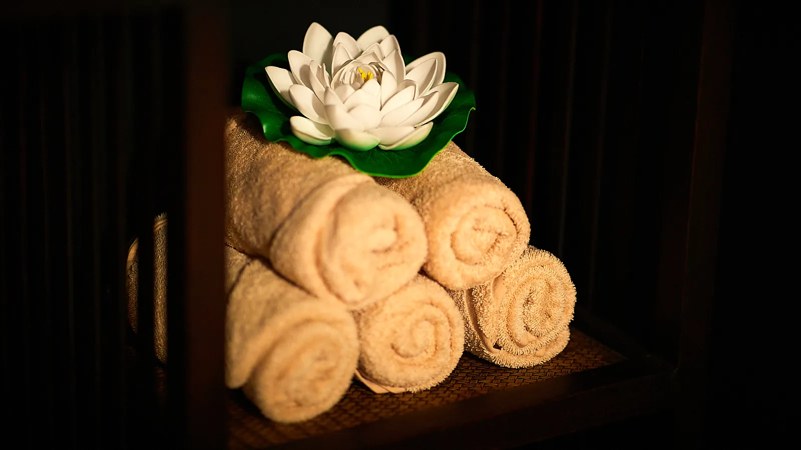 Spa Company Banská Bystrica